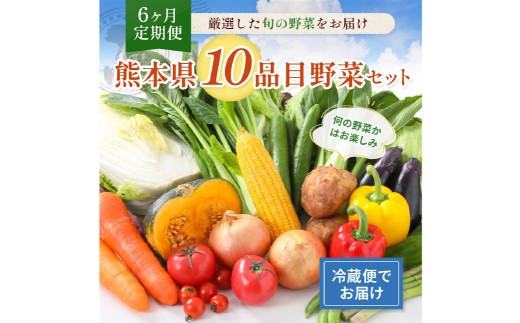 【 6ヶ月 連続 定期便 】 熊本県 10品目 野菜 セット 6ヶ月 定期便 フレッシュ 新鮮 野菜 青果 サラダ おまかせ お任せ 厳選 お楽しみ ランダム 冷蔵