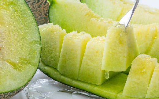 熊本県産 肥後グリーンメロン 1玉 1.6kg以上 【2026年5月上旬発送開始】 グリーンメロン メロン フルーツ 果物 くだもの 国産