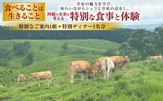 ～食べることは生きること～ 草原の魅力を学び、味わいながらシェフと草原の話をし、阿蘇の未来を考える特別な食事と体験（特別なご案内1組＋特別ディナー1名分） チケット 体験 サステナブル ディナー