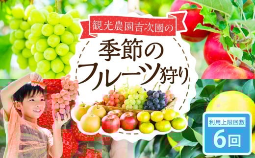 観光農園吉次園の「旬を味わうフルーツ狩りパスポート」（計6回） 果物狩り フルーツ 狩り 食べ比べ 食べ放題 季節 旬 家族 体験チケット チケット 体験 熊本県