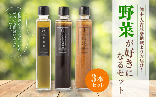 熊本 ・ 人吉 球磨 地域よりお届け！ 野菜 が好きになる 3本セット （ 酢 1本 ・ ドレッシング 2本 ）青梅酢 青梅 ごま 梅干し 酢 調味料 野菜ドレッシング