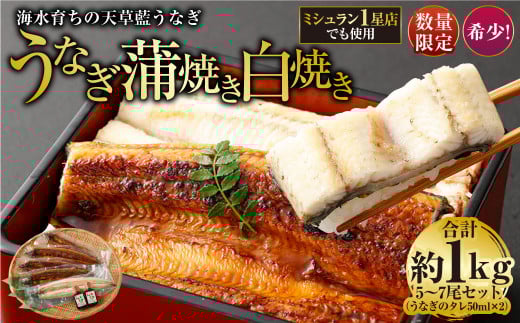 海水育ちの天草藍うなぎ 紅白5～7尾セット 合計約1kg タレ付き うなぎ 鰻 ウナギ 蒲焼き かば焼き うなぎの蒲焼 白焼き 魚 お魚