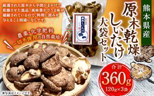 原木乾燥しいたけ 大袋セット 360g（120g×3袋） 乾燥椎茸 椎茸 しいたけ きのこ 野菜 セット 熊本県 常温