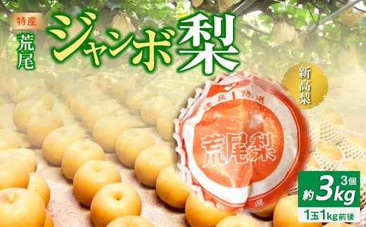 特産荒尾ジャンボ梨3個 約3kg 【2026年10月上旬発送開始】 果物 フルーツ なし 梨 くだもの