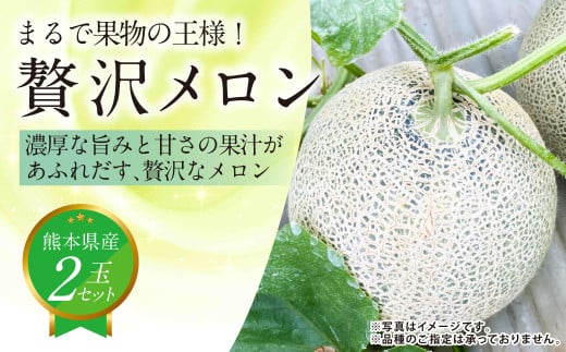 『まるで果物の王様！贅沢メロン』 2玉セット 1箱 熊本県産 【2026年4月下旬発送開始】フルーツ くだもの 果物 メロン 果実 果肉 おやつ 国産