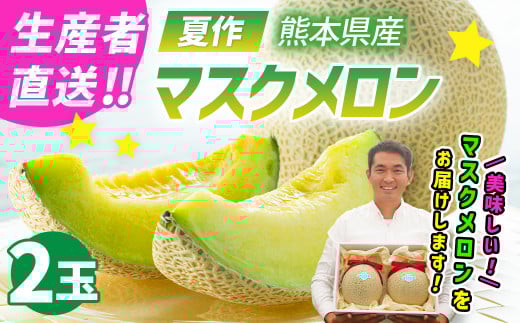 【生産者直送】☆夏作☆ マスクメロン 2玉 合計約3.2kg以上 【2025年7月上旬発送開始】 フルーツ くだもの 果物 メロン めろん 熊本県産