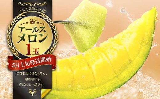 まるで果物の王様！アールスメロン1玉（熊本県産）【2026年5月上旬発送開始】 アールスメロン メロン 1玉 フルーツ 果物 くだもの 国産 熊本県産