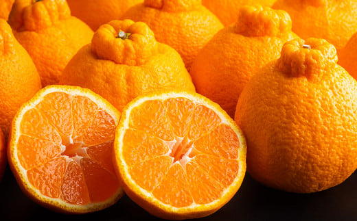 長期熟成 蔵熟 デコポン 約2.5kg 【2026年4月上旬発送開始】 蜜柑 みかん ミカン 柑橘 かんきつ くだもの 果物 フルーツ 国産