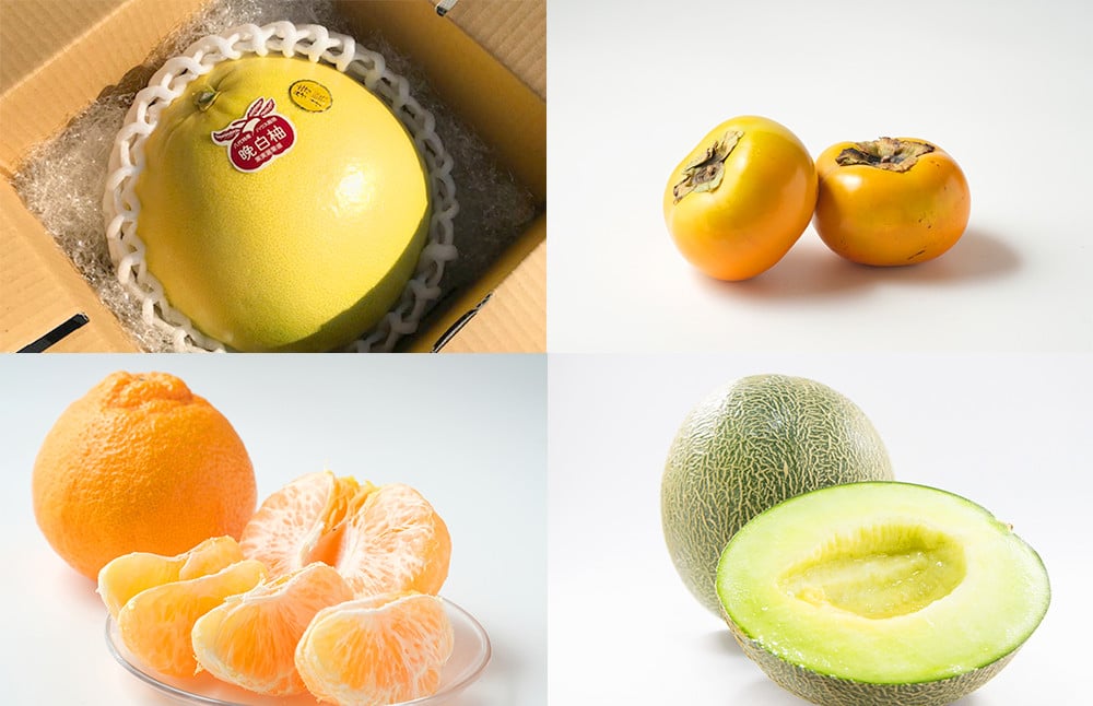 【年12回定期便】熊本県産フルーツ堪能定期便 ｜ 果物 くだもの フルーツ 定期便 旬 デコポン みかん メロン すいか いちご 梨 柿 シャインマスカット 特産品 熊本県