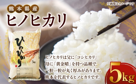 【 令和7年度産 】 熊本県産ヒノヒカリ 5kg 国産 熊本県産 お米 米 コメ ご飯 白米 ヒノヒカリ 【 2025年12月上旬発送開始 】