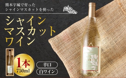 熊本宇城で育ったシャインマスカットを使った 「シャインマスカットワイン」 750ml×1本 ワイン 白ワイン シャインマスカット マスカット 辛口ワイン 辛口 シャルドネ 国産ワイン 九州 熊本県 常温