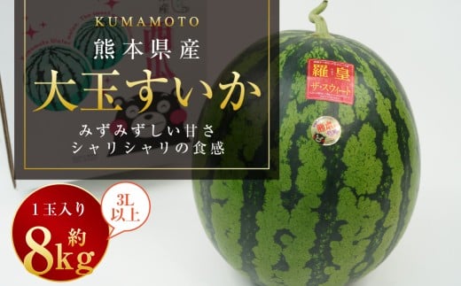 大玉すいか 1玉入り 3L以上 約8kg 【2026年5月上旬～2026年6月下旬発送予定】スイカ 甘いフルーツ 名産果物 果物 熊本県