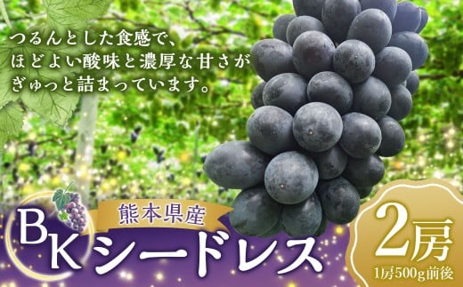 BKシードレス2房（500g前後×2房）【2026年8月上旬上旬発送開始】 ぶどう フルーツ 果実 食べ比べ デザート 贈り物 冷蔵 熊本県