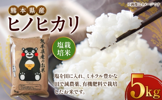 【 令和7年度産 】 熊本県産塩栽培米ヒノヒカリ 5kg 国産 熊本県産 お米 米 コメ ご飯 白米 ヒノヒカリ 塩栽培米 塩栽培 【 2025年12月上旬発送開始 】