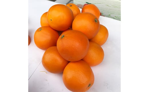 【2024年2月発送開始】熊本県産 ネーブルオレンジ 約5kg オレンジ 果物