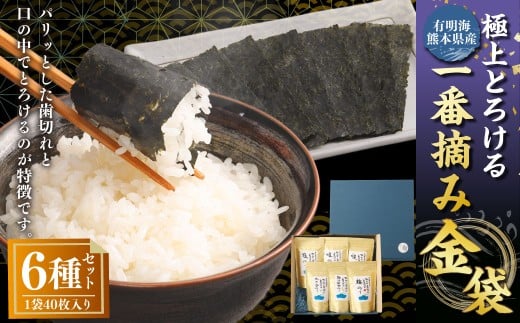 有明海 熊本産 極上とろける一番摘み 焼きのり 金袋シリーズ 6種セット 計240枚（40枚入×計6袋） 各1袋 焼きのり 味のり 塩のり 柚子胡椒のり 梅のり わさびのり