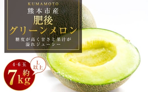 熊本市産 肥後グリーンメロン4-6玉 L以上 約7kg 【2026年4月下旬～2026年７月下旬発送予定】メロン 青肉 甘いフルーツ プレゼント 贈答 贈り物 果物 熊本県