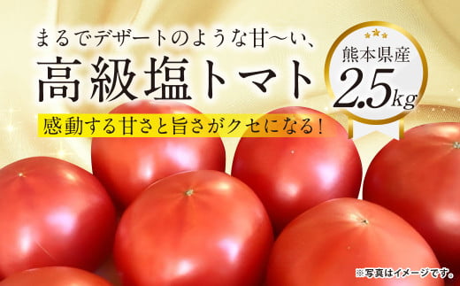 『まるでデザートのような甘～い、高級塩トマト』 約2.5kg 1箱 熊本県産 【2026年1月下旬発送開始】 野菜 やさい トマト とまと 塩トマト