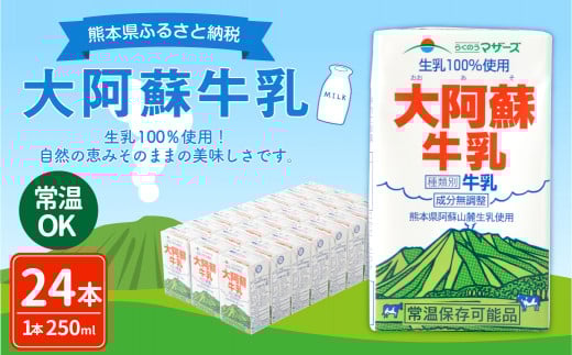 大阿蘇牛乳 250ml×24本 1ケース 紙パック 常温保存可能