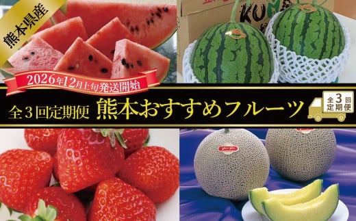 【年3回定期便】 熊本おすすめフルーツ定期便B（スイカ・メロン・いちご） 【2026年12月上旬発送開始】 スイカ すいか 立体スイカ メロン アールスメロン いちご イチゴ 苺 果物 くだもの 果実 果汁 フルーツ 定期便 年3回 熊本県 熊本県産