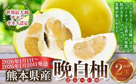 熊本県産晩白柚 2玉入り