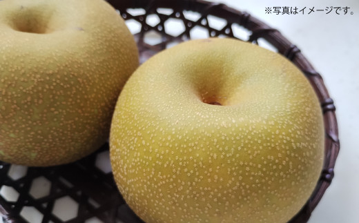 吉野梨 幸水 約5kg 【2026年7月下旬発送開始】 なし ナシ 梨 幸水梨 果物 くだもの フルーツ 熊本県産