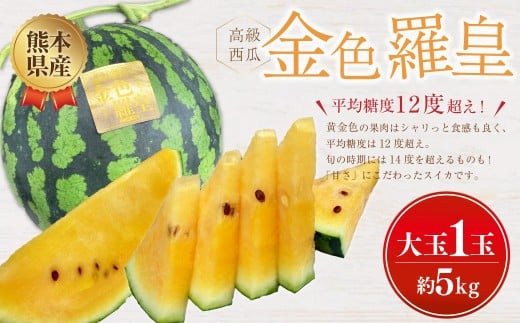 熊本県産 金色羅皇 ( 高級 西瓜 ) 約5kg 1玉 スイカ すいか フルーツ くだもの 果物 熊本 国産 【2026年5月下旬発送開始】
