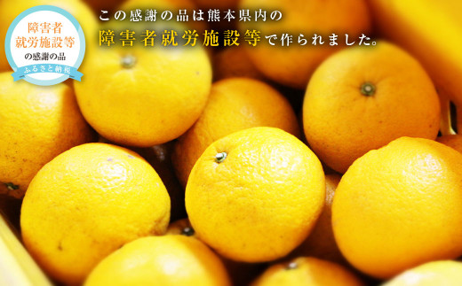 甘夏みかん 約10kg（1個あたり約300-350g、約25個～30個入り） 甘夏 柑橘 みかん 蜜柑【2026年2月上旬発送開始】