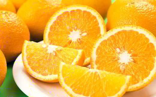 熊本県産 スイートスプリング 約4kg