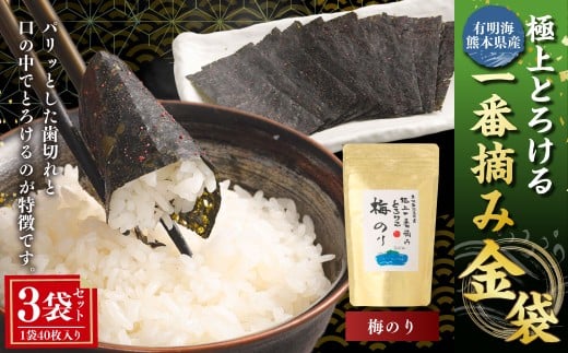 有明海 熊本産 極上とろける一番摘み 梅のり 金袋 1袋（40枚入）×3袋 計120枚 海藻 海苔 のり ノリ あじのり 梅 うめ ウメ
