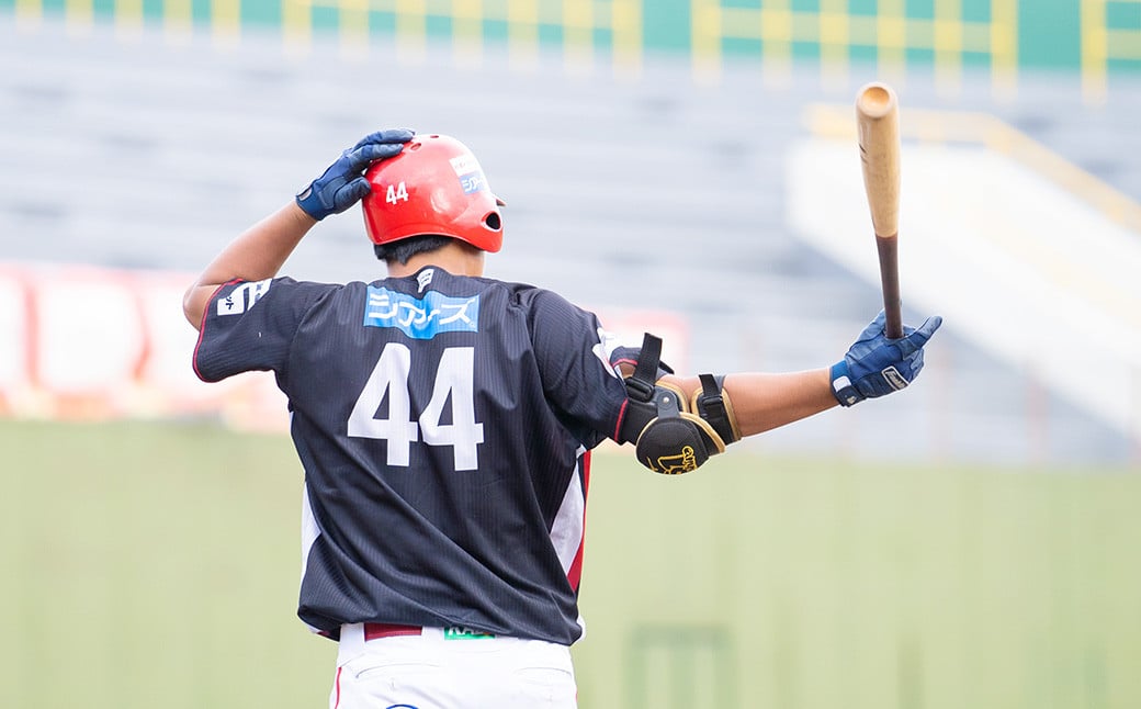 【2023年シーズン】火の国サラマンダーズ 公式戦チケット20枚セット