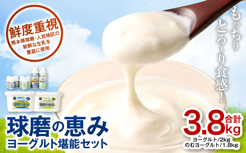 球磨酪農おすすめ！球磨の恵みヨーグルト堪能セット 合計3.8kg（ヨーグルト 計2kg のむヨーグルト 計1.8kg）
