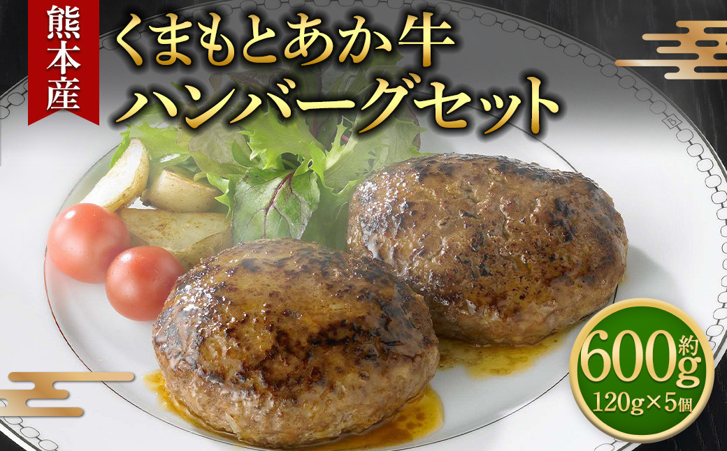 熊本県産くまもとあか牛 ハンバーグセット 120g×5個 計600g
