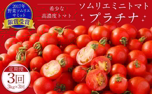 【年3回定期便/2026年1月発送開始】 ソムリエ ミニトマト プラチナ 3kg×3回 合計9kg とまと トマト 野菜 やさい 熊本県産 国産