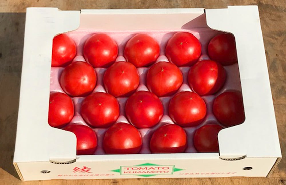 【2024年1月下旬発送開始】熊本県産 高級塩トマト「綾」1キロ前後