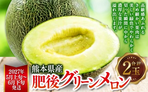 熊本県産 肥後グリーンメロン 2玉 メロン くだもの 果物 フルーツ 【2027年5月上旬から6月下旬発送予定】