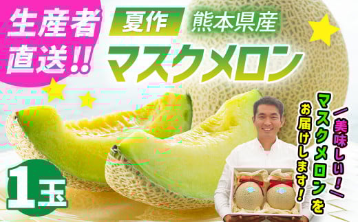 【生産者直送】☆夏作☆ マスクメロン 1玉 約1.6kg以上 【2026年7月上旬発送開始】 フルーツ くだもの 果物 メロン めろん 熊本県産