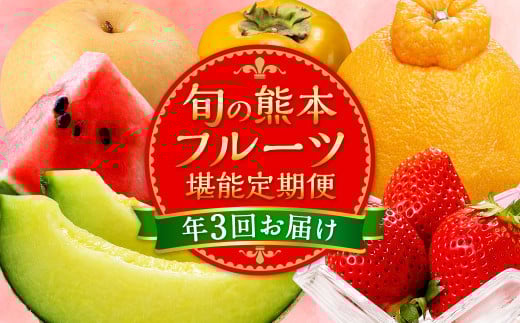 【年3回定期便】熊本の人気フルーツ堪能定期便（1月・5月・10月発送） 熊本県産 果物 毎月お届けギフト