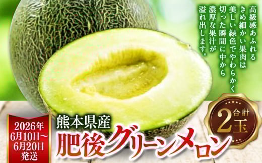 熊本県産 肥後グリーンメロン 2玉 メロン くだもの 果物 フルーツ 【2026年6月10日より発送開始】