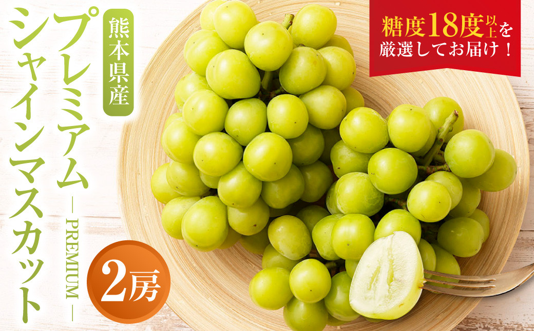 【2024年8月上旬発送開始】糖度18度以上を厳選してお届け！ 熊本県産 シャインマスカット 2房 約1.7kg以上 マスカット フルーツ 果物 くだもの