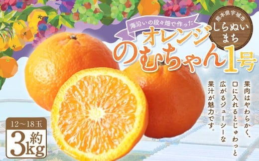 【2026年3月上旬発送開始】熊本県宇城市不知火町の海沿いの段々畑で作った「オレンジ（のむちゃん1号） 」約3kg（12-18玉） フルーツ 果物 みかん 九州 熊本産 蜜柑
