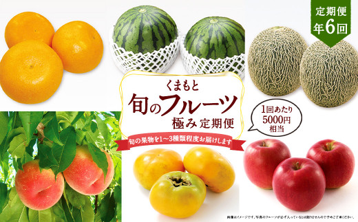 【年6回定期便】くまもと 旬のフルーツ極み 定期便 ① ｜ フルーツ くだもの 果物 旬 旬の果物 熊本県産