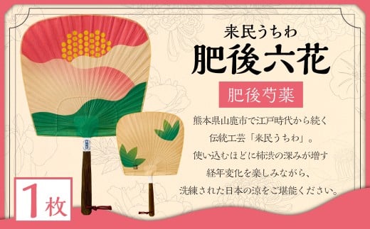 来民うちわ 肥後六花 「 肥後芍薬 」 うちわ 伝統工芸 縁起物 防虫効果 伝統技法 雑貨 生活雑貨