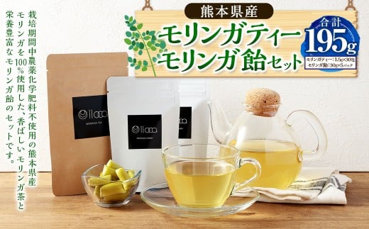 熊本県産 モリンガティー 30包 モリンガ飴 5パック セット ／ モリンガ茶 モリンガ ティー お茶 茶 健康茶 飴 あめ アメ キャンディー