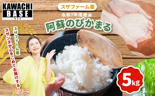 スザファーム産 スザンヌが心をこめてお届けする 【令和7年度産米】 阿蘇のぴかまる 5kg 【2025年10月上旬発送開始】 お米 米 コメ 阿蘇 ぴかまる ご飯 ごはん 国産 熊本県産