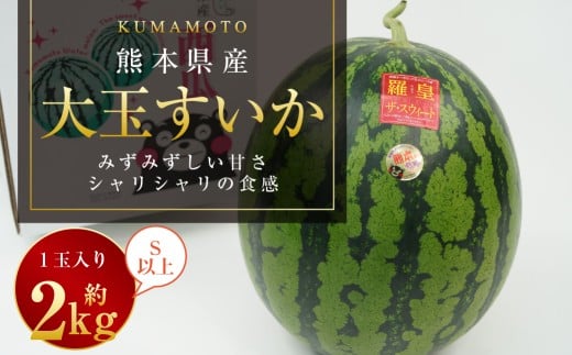 大玉すいか 1玉入り S以上 約2kg 【2026年5月上旬～2026年6月下旬発送予定】スイカ 甘いフルーツ 名産果物 果物 熊本県