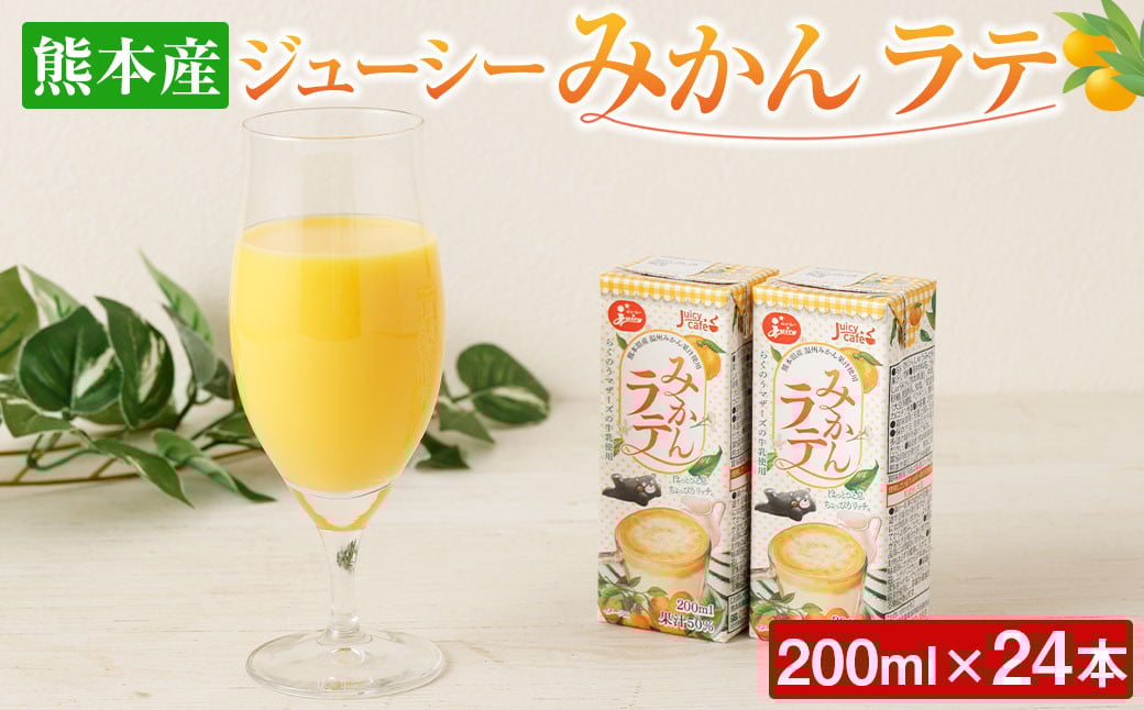ジューシーみかん ラテ 200ml × 24本 合計4800ml 紙パック 飲料 みかん ミカン 蜜柑 常温