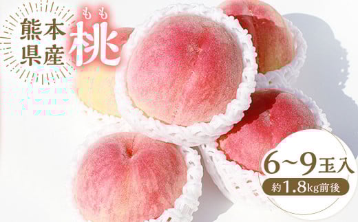 熊本県産桃 約1.8キロ前後 【2026年6月上旬発送開始】 果物 フルーツ 果実 もも 桃 モモ 千代姫 花嫁 サクヒメ 白鳳 なつっこ あかつき 冷蔵便 熊本県産
