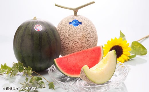 熊本県産 黒小玉スイカ 1玉 と マスクメロン 1玉 合計2玉【2026年6月上旬発送開始】 すいか スイカ 西瓜 フルーツ 果物 くだもの メロン 2種 セット 国産