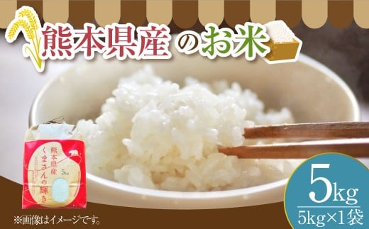 【令和7年度産】 熊本県産のお米5kg くまさんの輝き 精米 単一原料米 お米 米 【2025年11月上旬発送開始】